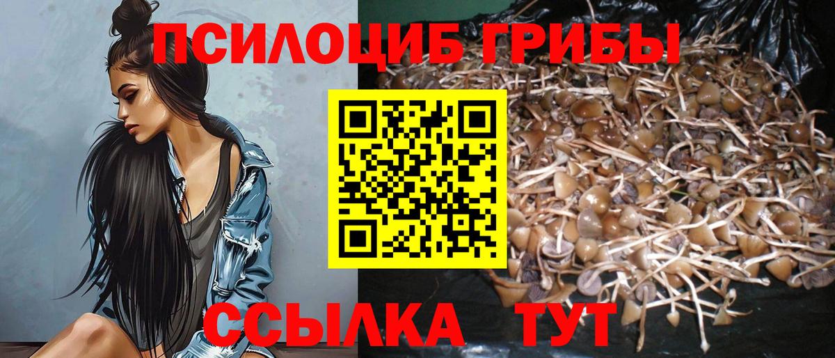 Галлюциногенные грибы Magic Shrooms Полевской