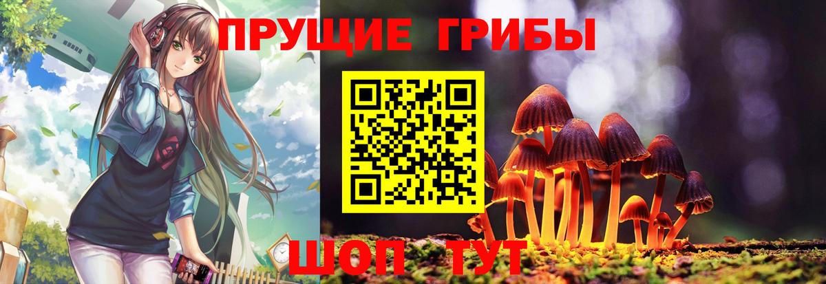 Галлюциногенные грибы MAGIC MUSHROOMS  Вход с VPN  Полевской  Галлюциногенные грибы Psilocybine cubensis 